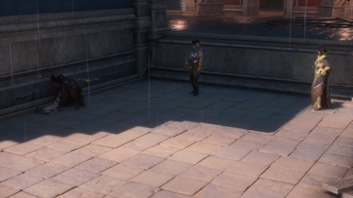 ADLegend21's tweet photo. Iron Dragon loves her some Cats #RookReveal #DragonAgeVeilguard https://t.co/MdprHEoJik