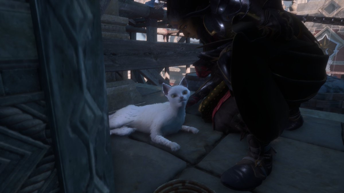 ADLegend21's tweet photo. Iron Dragon loves her some Cats #RookReveal #DragonAgeVeilguard https://t.co/MdprHEoJik