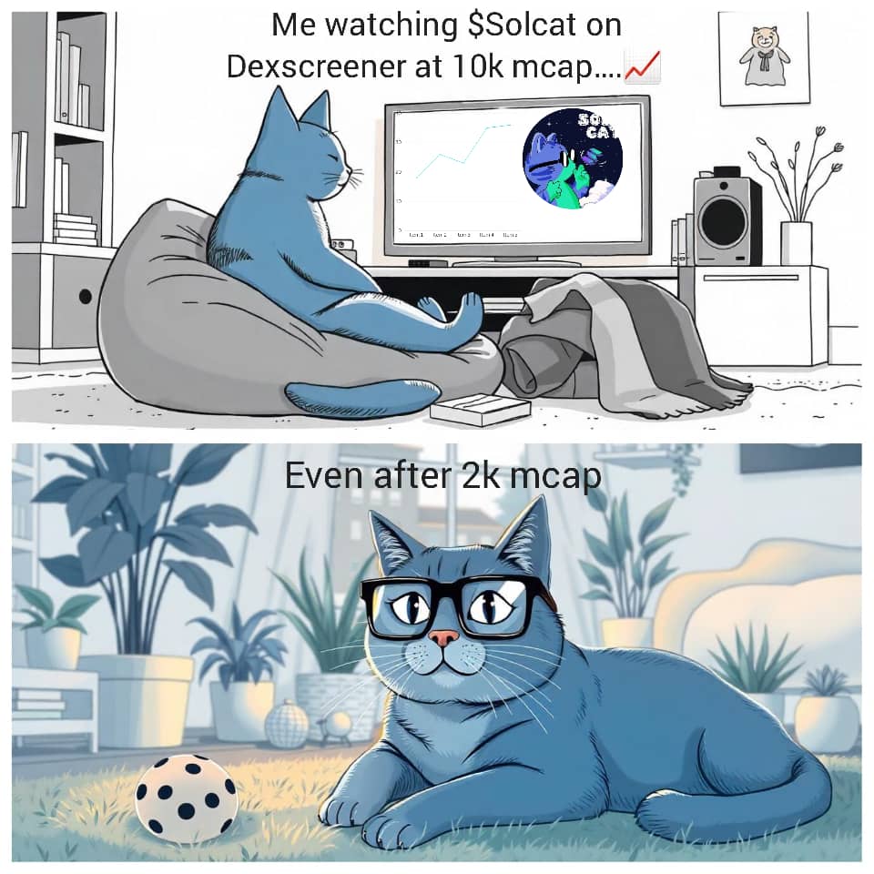 AshleyWeb3_'s tweet photo. @solcatonsolan Me watching my $Solcat on Dexscreener even after 2k mcap….📈 

 #Solcatonsolana #Meme

@Web3introvert @defia @web3woman @solcatonsolan @defimon https://t.co/IWqVJmj690