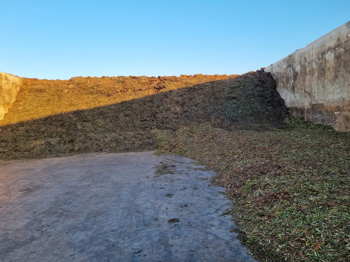 RoccoBellantone's tweet image. Il 31 ottobre siamo stati a Cerignola per raccontare un nuovo cantiere della #transizioneecologica di @Legambiente insieme a @StefanoCiafani @pierogattoni @consorziobiogas. Il digestore anaerobico di ARCA tratta la #sansa delle olive per produrre #biometano e #digestato