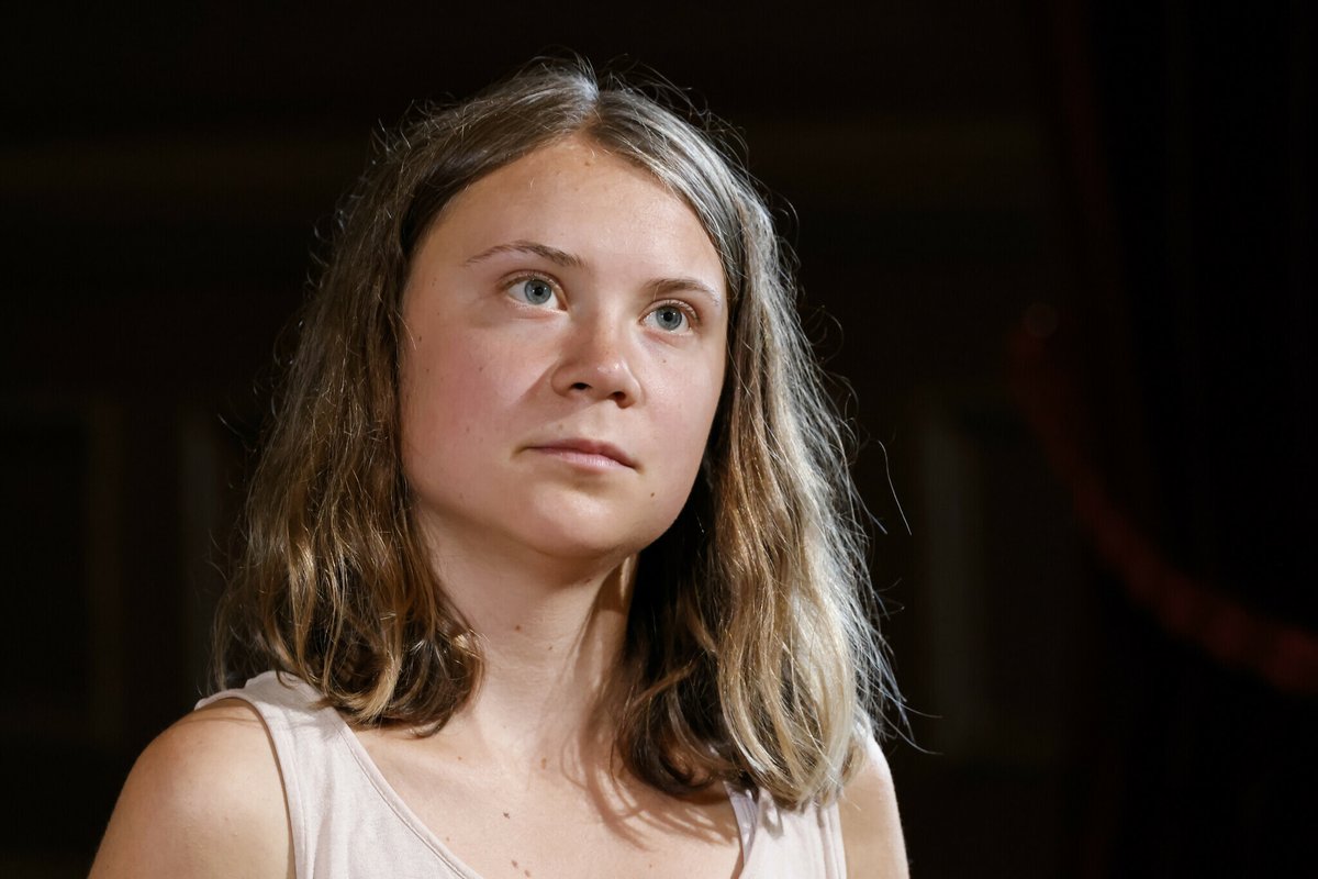 le_Parisien's tweet image. Présidentielle américaine : pour Greta Thunberg, Trump est « plus dangereux », mais Harris a « du sang sur les mains »
➡️ l.leparisien.fr/VyTe