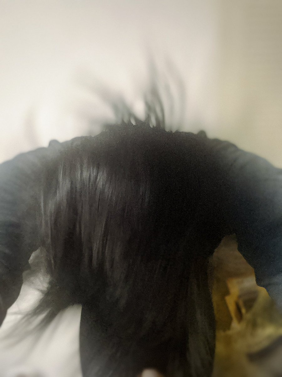MAKU_crazyspace's tweet photo. 久々に裏で
ふるくん( #FURU_crazyspace )と
さこちゃん( #35_crazyspace )と
お話しました！

活動頻度減っててごめんなさい！
相変わらずバタバタ中ですが
みんな元気です！

#クレイジースペース
#謝罪～バサァという名の疾走感を添えて～
#頭振りすぎて頭痛くなりましたお休みなさい https://t.co/Q2rXvspg9E