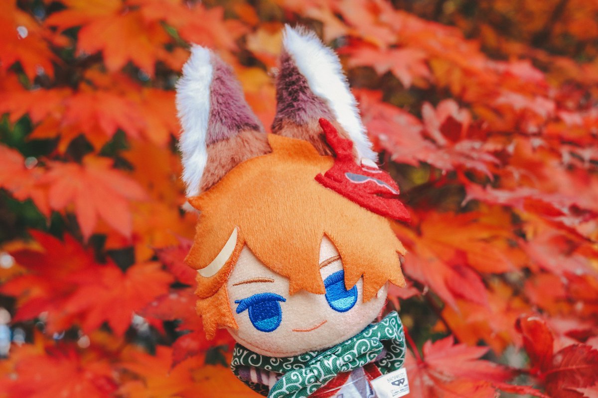 🍁𝙃𝙖𝙥𝙥𝙮!🍁