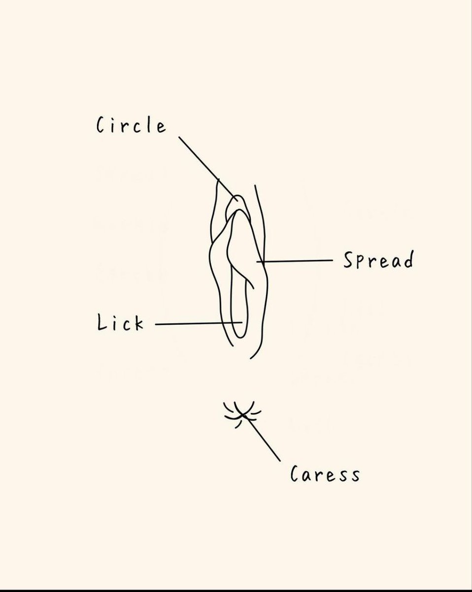 TrueMenTales's tweet photo. 10 erogenous zones of the female body that you should know: 

Thread!! https://t.co/RjtZzY3ZfT