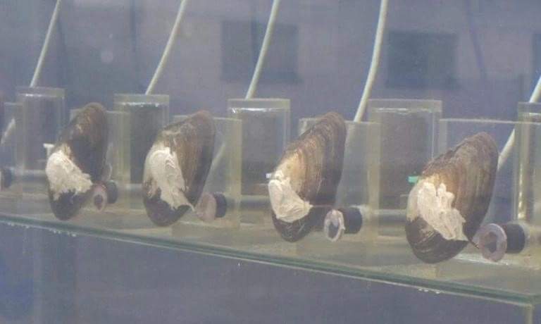 VDabbaransi's tweet photo. https://t.co/R6bmTUJugB
สหภาพแรงงานต้องเข้าคุ้มครองนุ้งหอยแล้ว 🐚 https://t.co/m4Rw3vaUYs