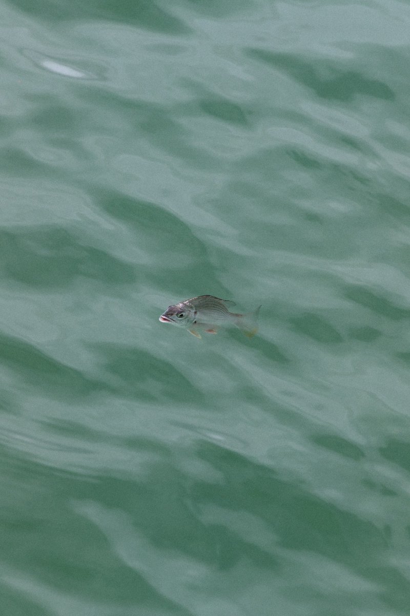 アキモト (@akimoto_0109) on Twitter photo 