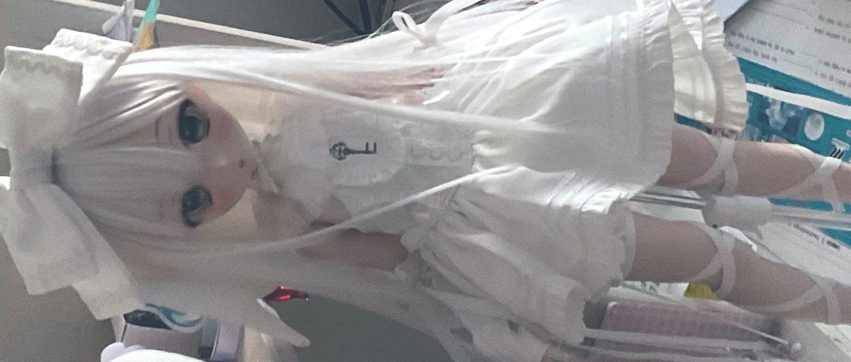 28.5℃ (@siroi_si) on Twitter photo 