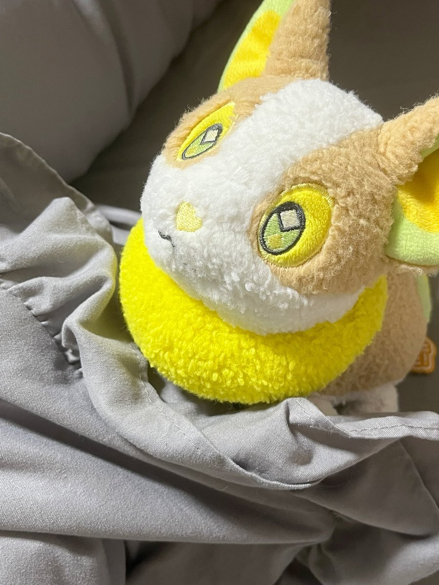 ぼそぼそのワンパチ (@bosopachi) on Twitter photo 