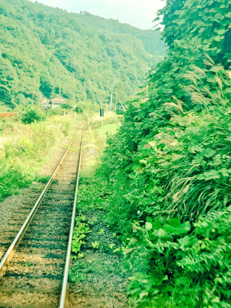 「出雲市駅から、博物館最寄りの出雲八代駅への道中も素敵だった。電車は可愛いし、駅舎」|明@Mingのイラスト