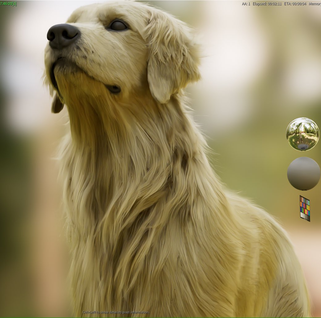 耳畳んで口閉じてみた！何かする度に調整し直しで本当終わるのかな、、🦮
#Houdini