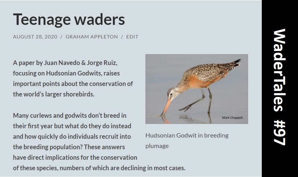 3/7
Hudsonian Godwit is another species with a double promotion from LEAST CONCERN  to VULNERABLE. 
The species faces challenges at every stage of its life:
wadertales.wordpress.com/2020/08/28/tee…
... and as it crosses warming oceans:
wadertales.wordpress.com/2022/03/15/nav…
#ornithology