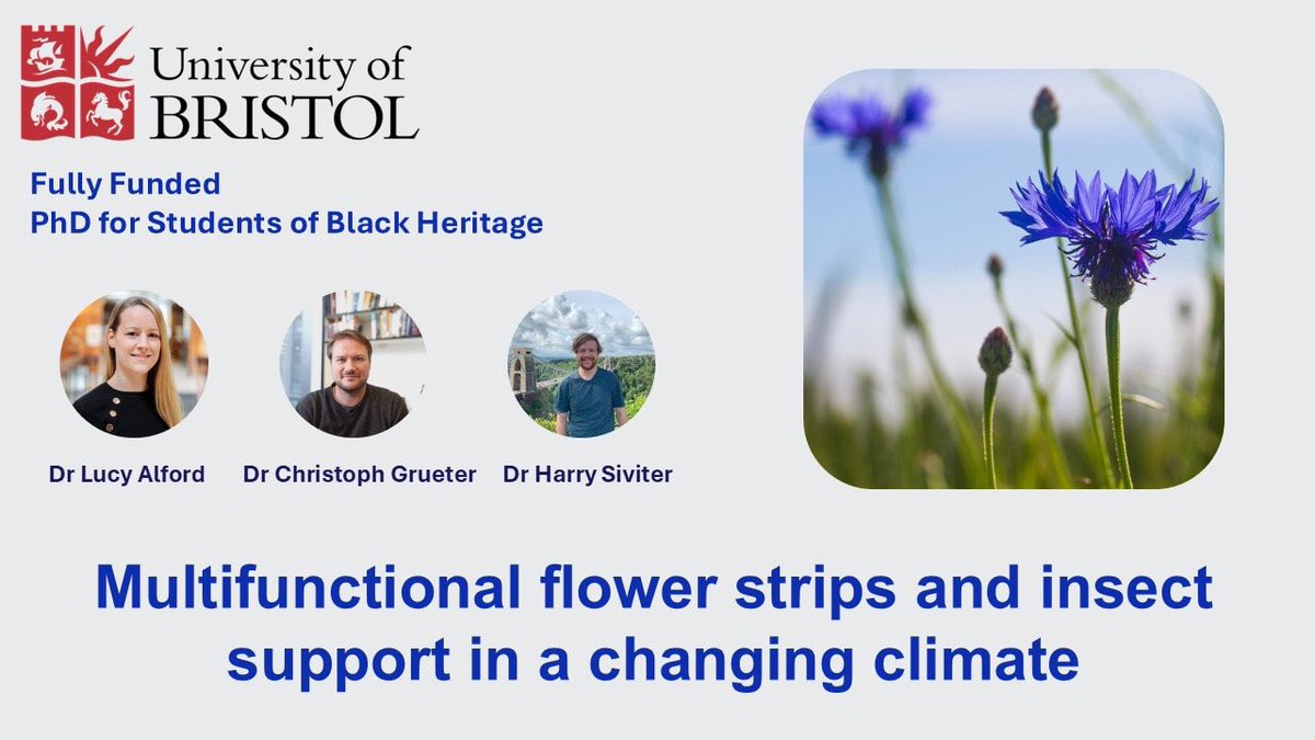 Functional_Bio's tweet image. 🪲Fully-Funded PhD🪲

Interested in how climate change is impacting beneficial insects? 🐝🪰🦋

Fully-funded PhD position at @BristolBioSci for student of black heritage. 

Please share &amp;amp; RT 👉 tinyurl.com/FunctionalBio