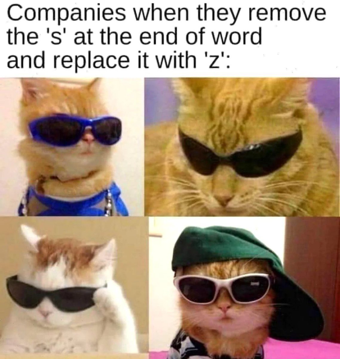 WholesomeMeme's tweet photo. https://t.co/XWySAIbZL8