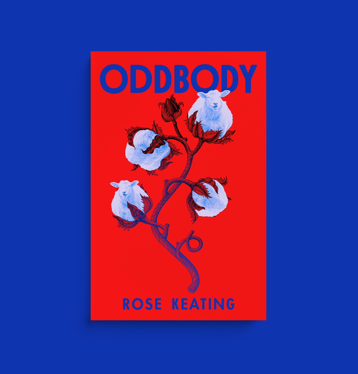 Rose Keating tweet media