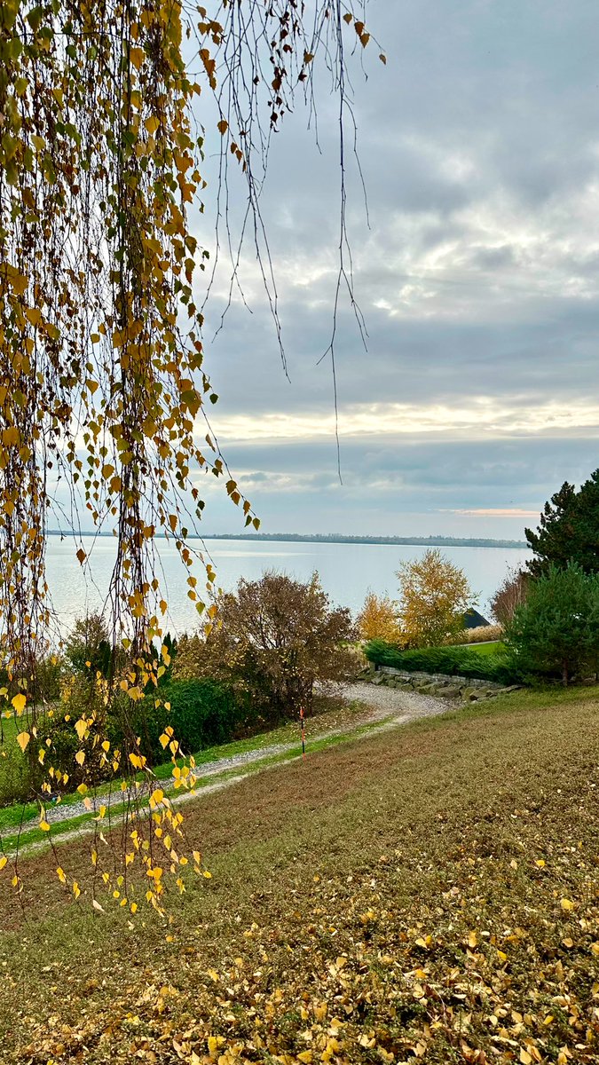 Wishing you a peaceful and beautiful weekend 🌿🍂