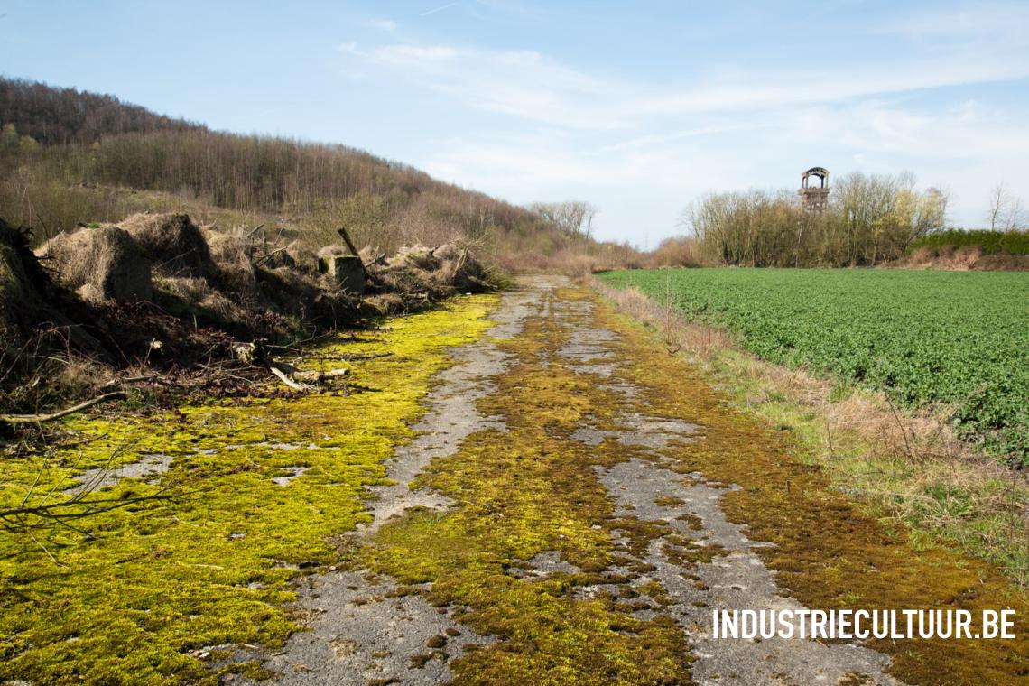 BartTijdreizen's tweet photo. 🍂 De mooiste herfstwandelingen over #terrils in het Waalse en Limburgse steenkoolbekken 👉 https://t.co/nMoeMWUyeV #IndustrieelErfgoed https://t.co/OQYXUE4wWX