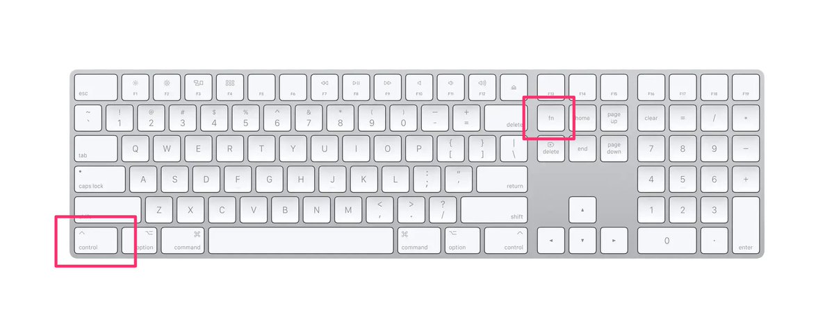 Steve Moser tweet media