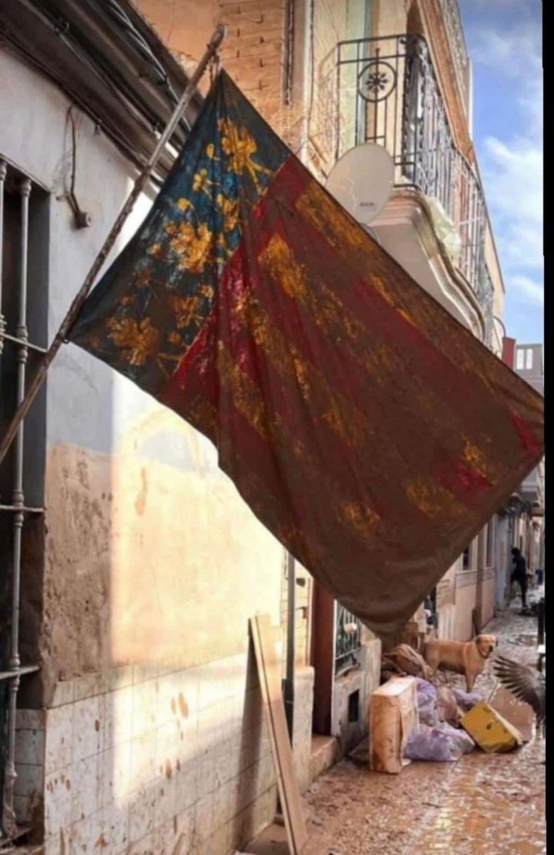 Orgullo de bandera y de los nuestros, por siempre!
D.E.P familiares, amigos y vecinos.