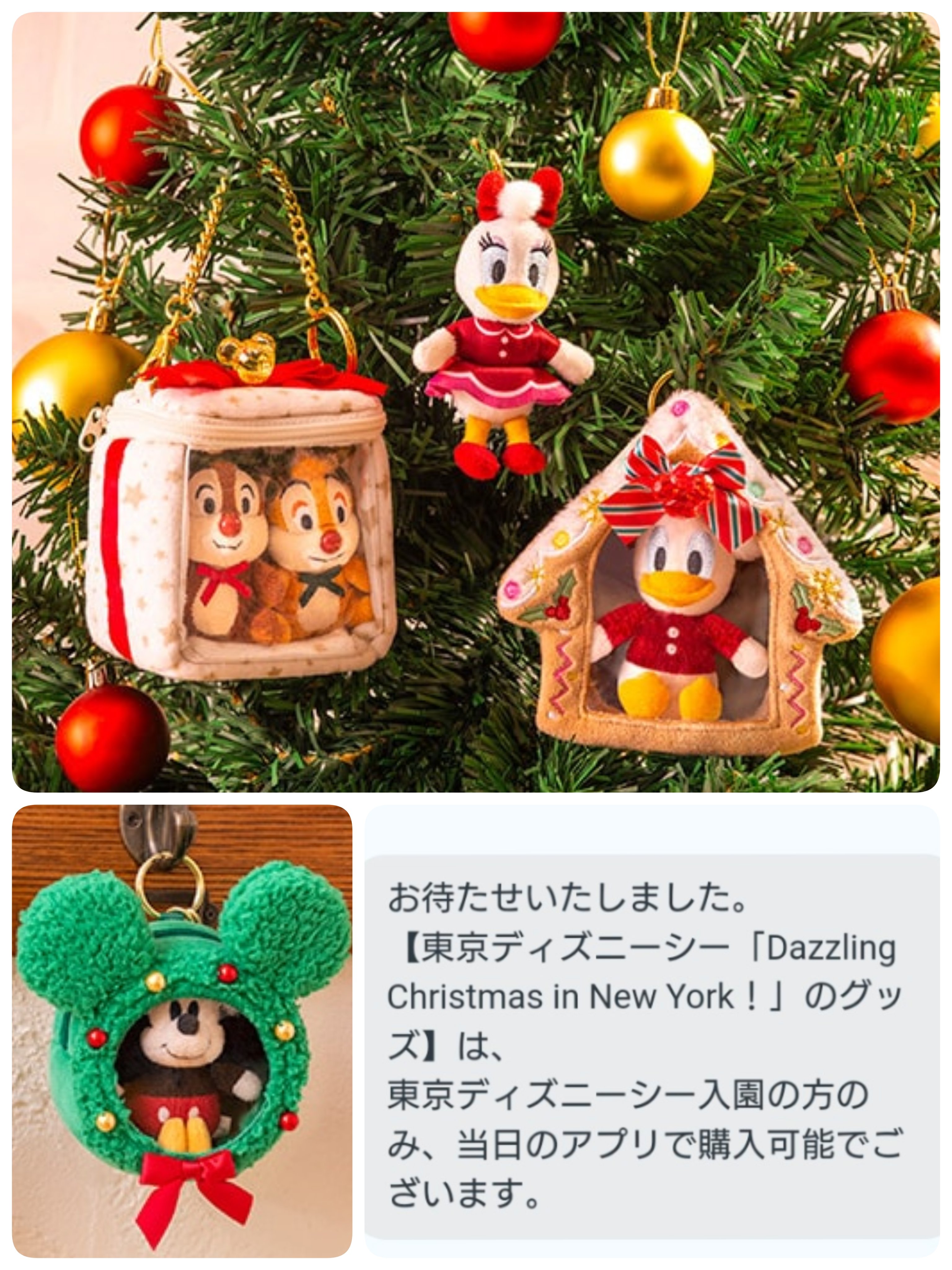 でぃちゃん/TDR最新情報 ディズニー情報 on X: 