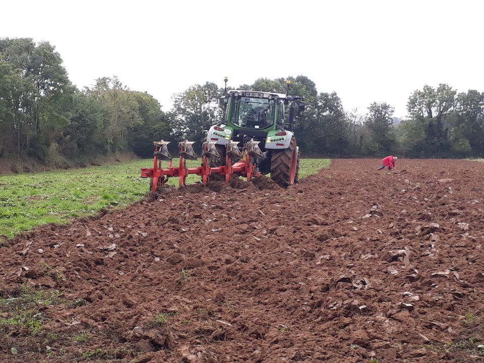 Cette scène est plutôt anodine et la parcelle travaillée n’est pas vaste, mais elle est communale et une paysanne boulangère qui utilisera bientôt le blé bio, made in Saint-Sauveur- Villages, qui poussera sur cette parcelle pour élaborer ses pains et ses brioches.