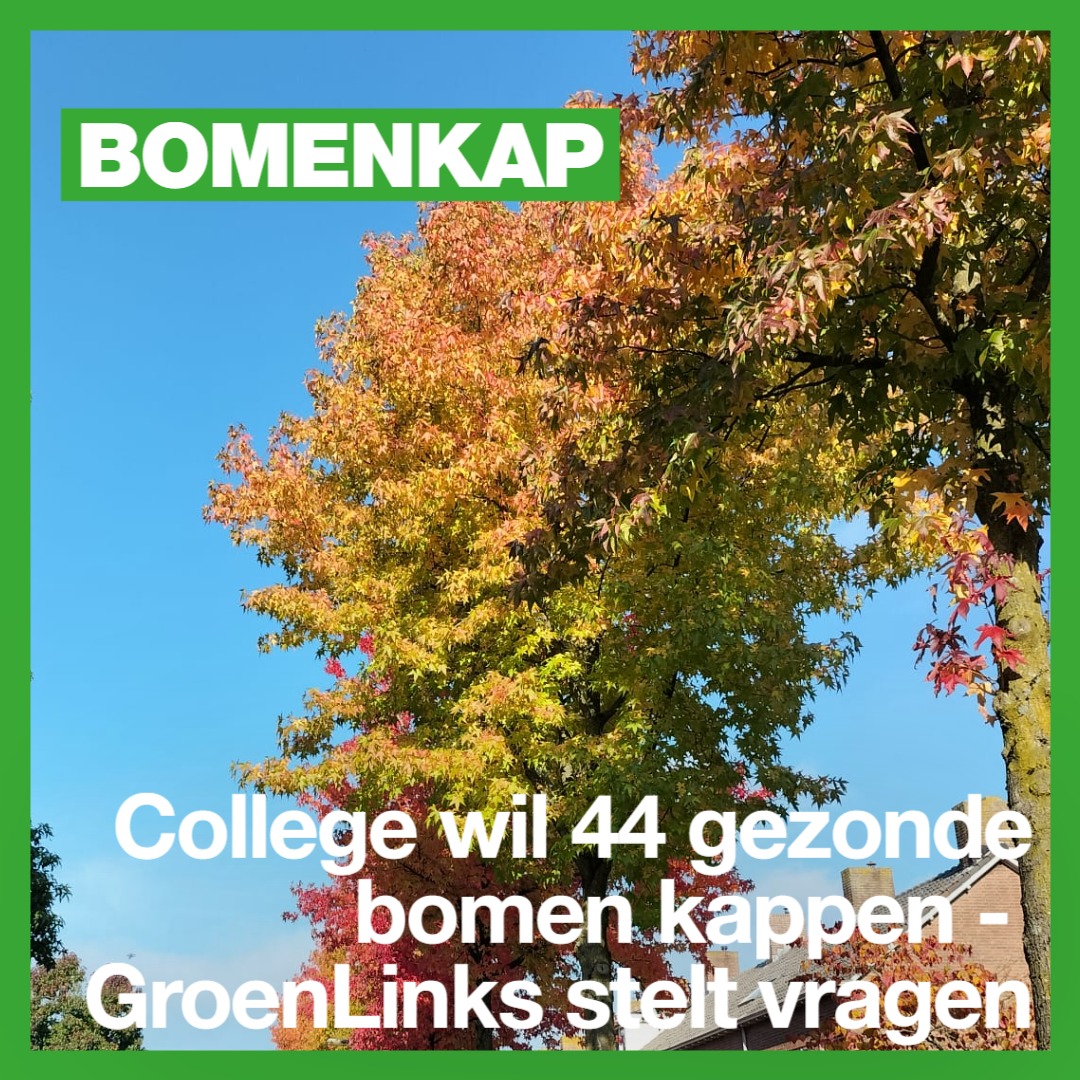 🌳Het college wil 44 gezonde bomen kappen op de Zandweerd. Een slecht plan voor de biodiversiteit en hittestress. Daarom stelt GroenLinks samen met Deventer Belang schriftelijke vragen!👇
tinyurl.com/3cjfhr57