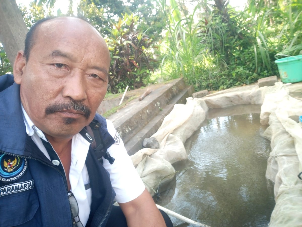 paramarta080's tweet photo. Selasa(1/10), I Gede Putu Paramarta Luhkan Kab.Bangli, di POKDAKAN Mina Rirta Kestari Desa Sulahan,mendampingi panen benih dasar sebanyak 45.000 ekor,ukuran 1 cm,luas lahan 300 M2, dengan harga jual Rp. 20/ekor
#GiatLuhkanSatminkalGONDOL
#Bangli
#Panen https://t.co/qKhMzHmBO5