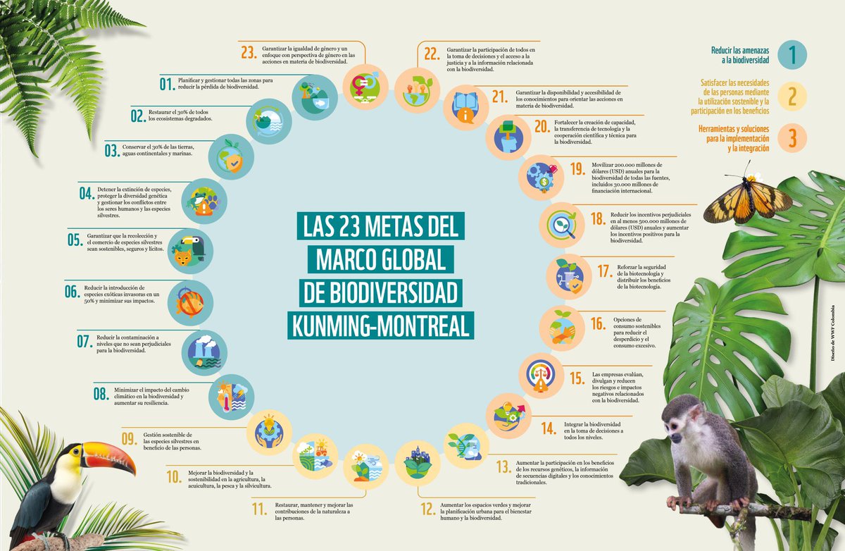 Metas del Marco Global de #Biodiversidad con el que todo Estado se debe comprometer. Se clasifican en:

🟢 Reducir amenazas a la biodiversidad.
🟡 Responder a necesidadades mediante sostenibilidad y participación.
🟠 Herramientas para la implementación e integración.

#COP16 🍃