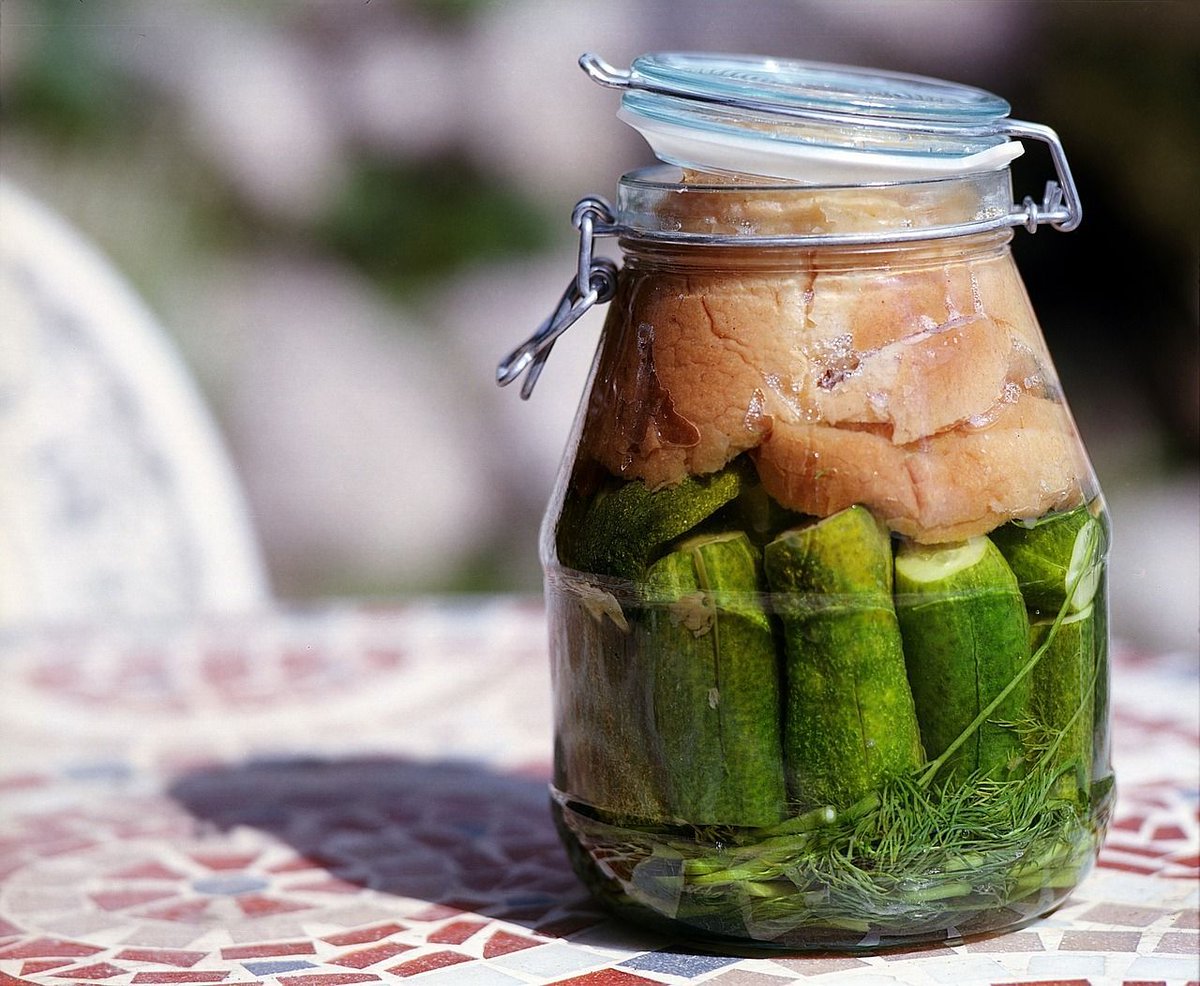 corkcitylibrary's tweet photo. Join us for Science Week in the City Library, Grand Parade!
A free talk on Fermented Foods; What To Watch Out For When Shopping. 

⏰ Wednesday 13 November at 12.00 pm 

Aidan O'Sullivan teaches the science behind fermented foods, includes a practical, how-to ferment element! https://t.co/YQvCQXMtDf