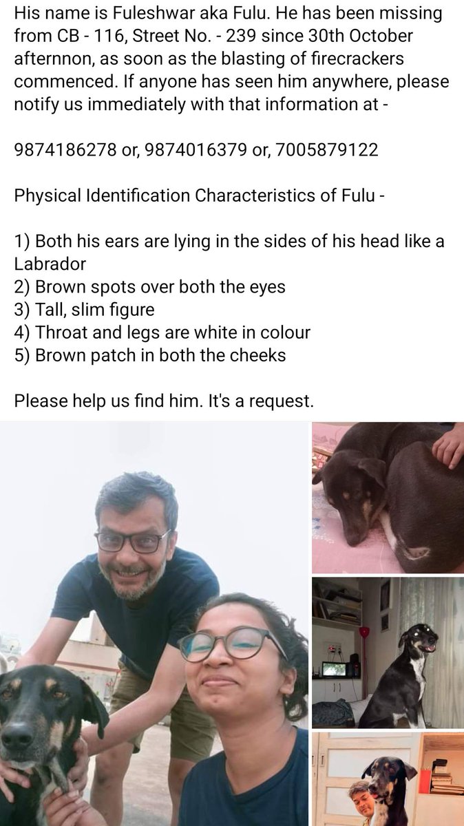WikiKolkata's tweet image. 🐾 Missing Dog Alert! 🐾 A beloved pup is missing from Newtown, Kolkata. If you see a small dog wandering around, please help us bring them home!

Let’s work together to find this furry friend! #FindTheDog #KolkataPets