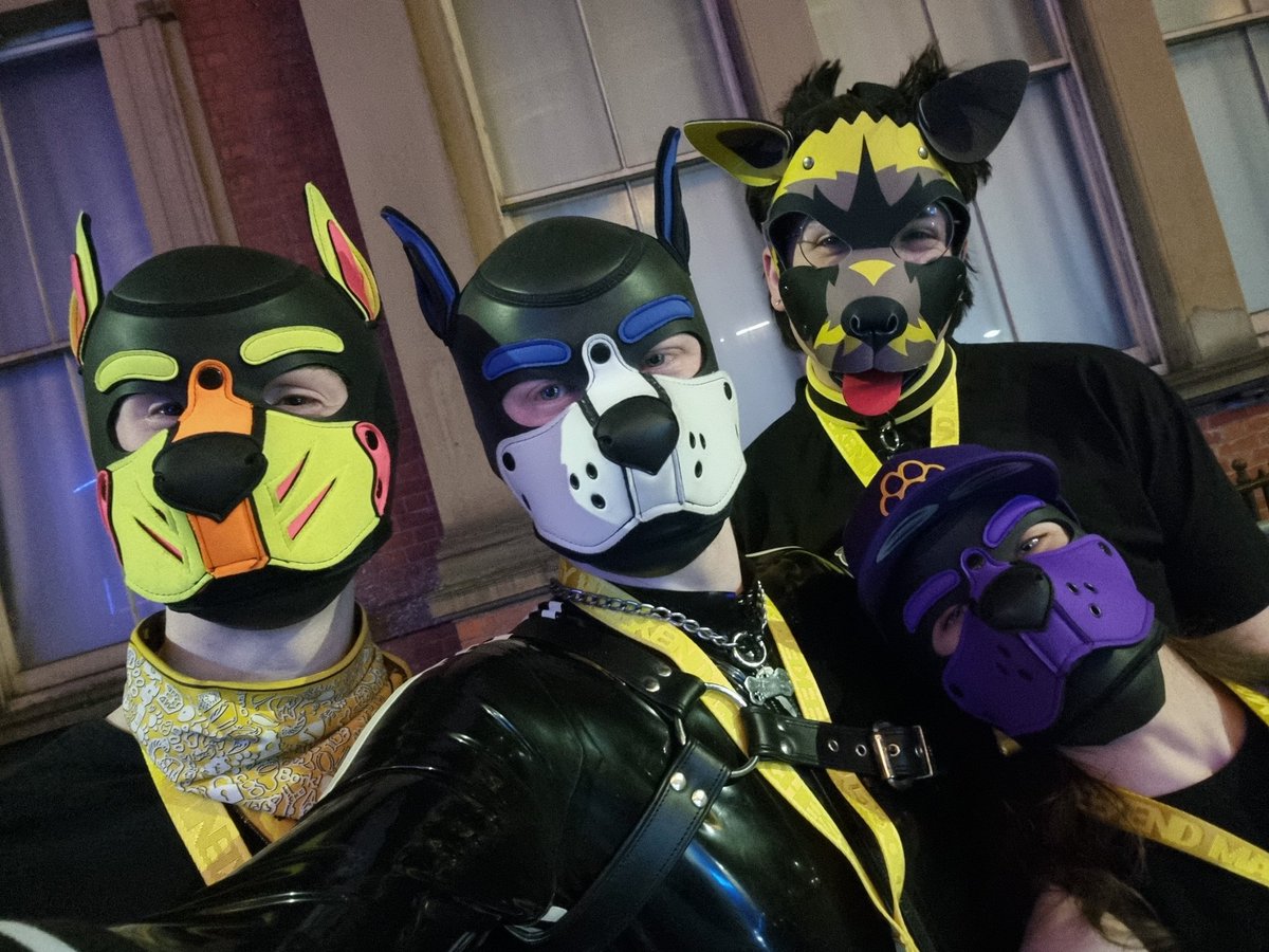 KKAD last night was fun. Nice to be out amongst the shiny dogs again 😁  

(Dogs - <a href="/PupperNero/">Nero ✨🐶</a> <a href="/PupNimo/">Pup Nimo ✨</a> <a href="/SollosAveril/">Sollos Averil</a>)