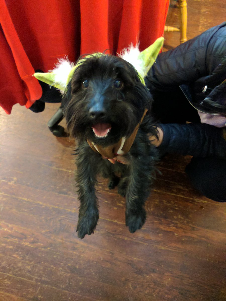 Luke Thomas🏋️‍♀️ tweet media