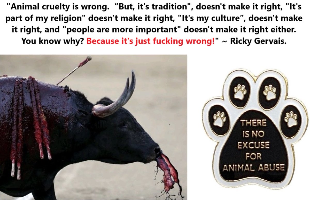 Protect_Wldlife's tweet image. PLEASE RT 🐾

"Animal cruelty is wrong....and 'tradition', 'religion', 'culture' and 'people are more important' doesn't make it right"~ @RickyGervais

Let EVERYONE know that you agree with Ricky with a There Is No Excuse For Animal Abuse badge from protect-all-wildlife.ecwid.com/THERE-IS-NO-EX…