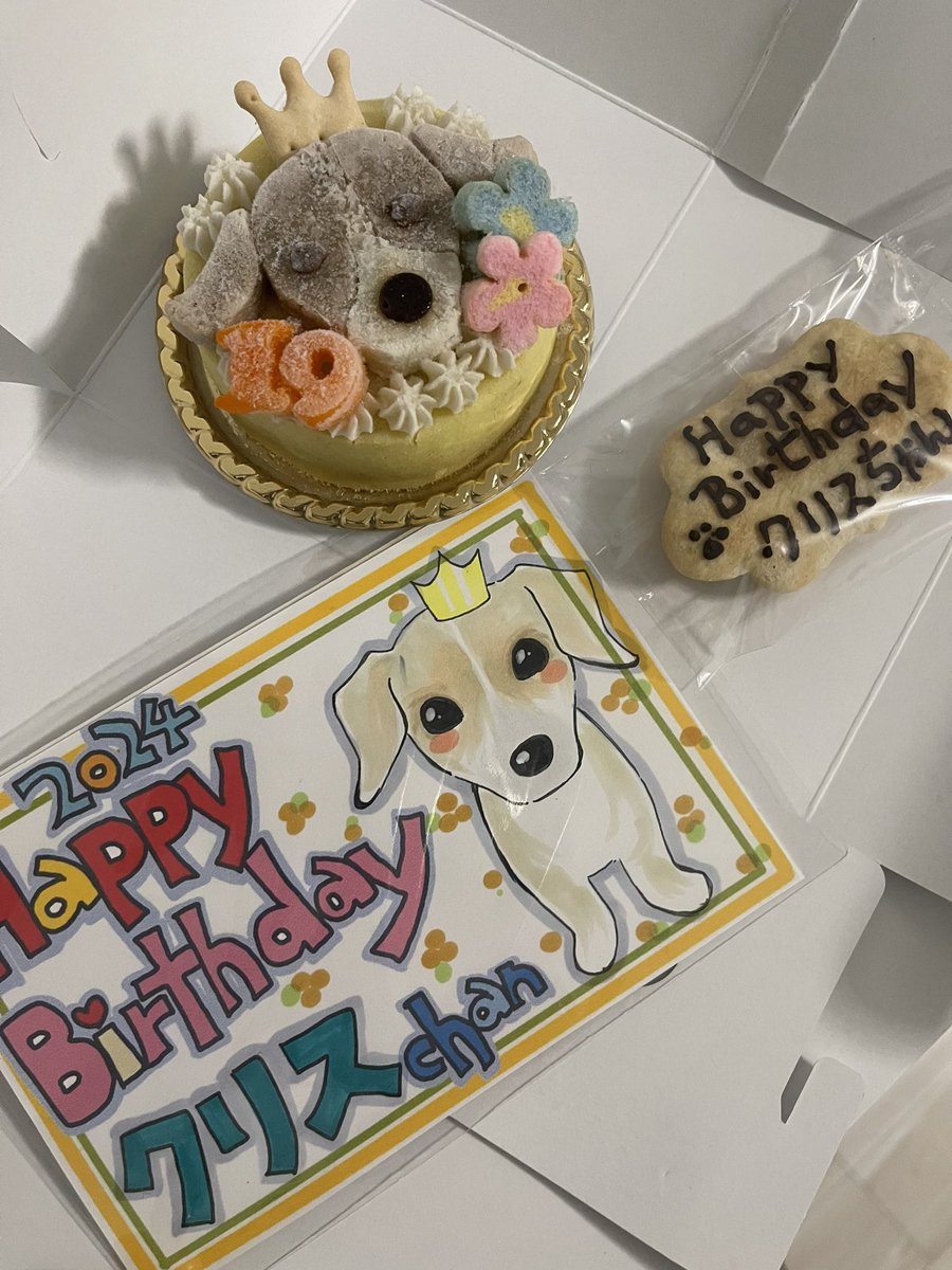 MarronChris's tweet photo. 2024.11.1 ワンワンワンの日🐶
19歳になりました　
まだまだ頑張るワン🐶
よろしくね https://t.co/1DmUijKjTc