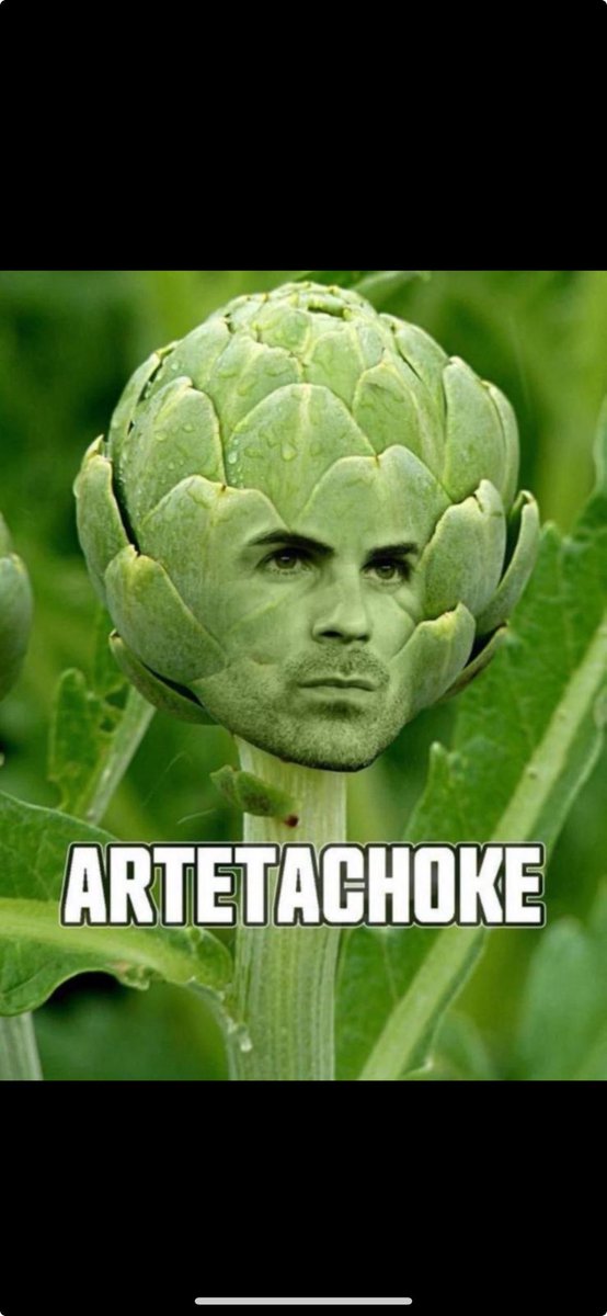 SilverNHFox's tweet image. ⁦@Kev_COYS_⁩