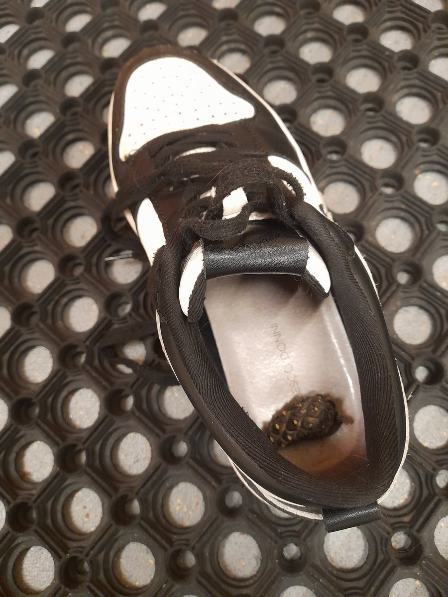 цыган tweet media