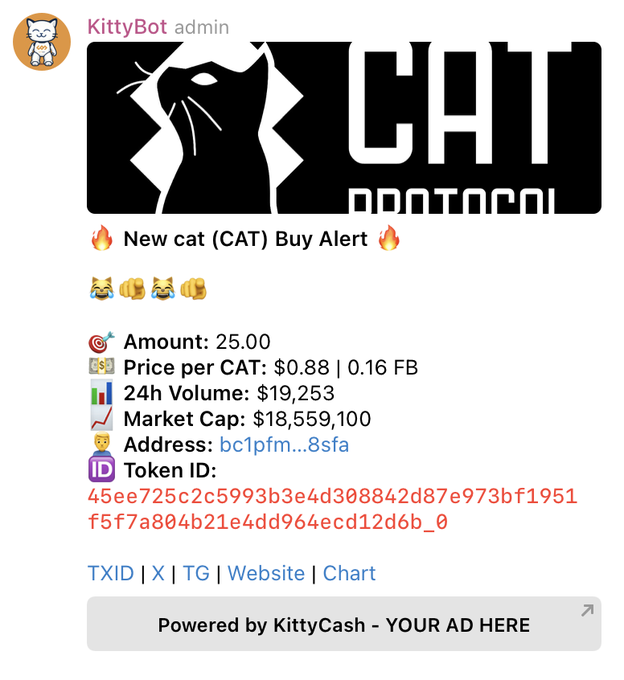 countcryptonite's tweet photo. @0xNefu CAT20 rules!!😼💸. KittyCash just launched a buybot for cat20 by the way!! Cat20 bullrun being loaded 🚀🚀 https://t.co/wAOJEXvB7c @KittyCash_20 #CAT20 #KITTYBOT #KITTYCASH https://t.co/WTXW5CvN5O