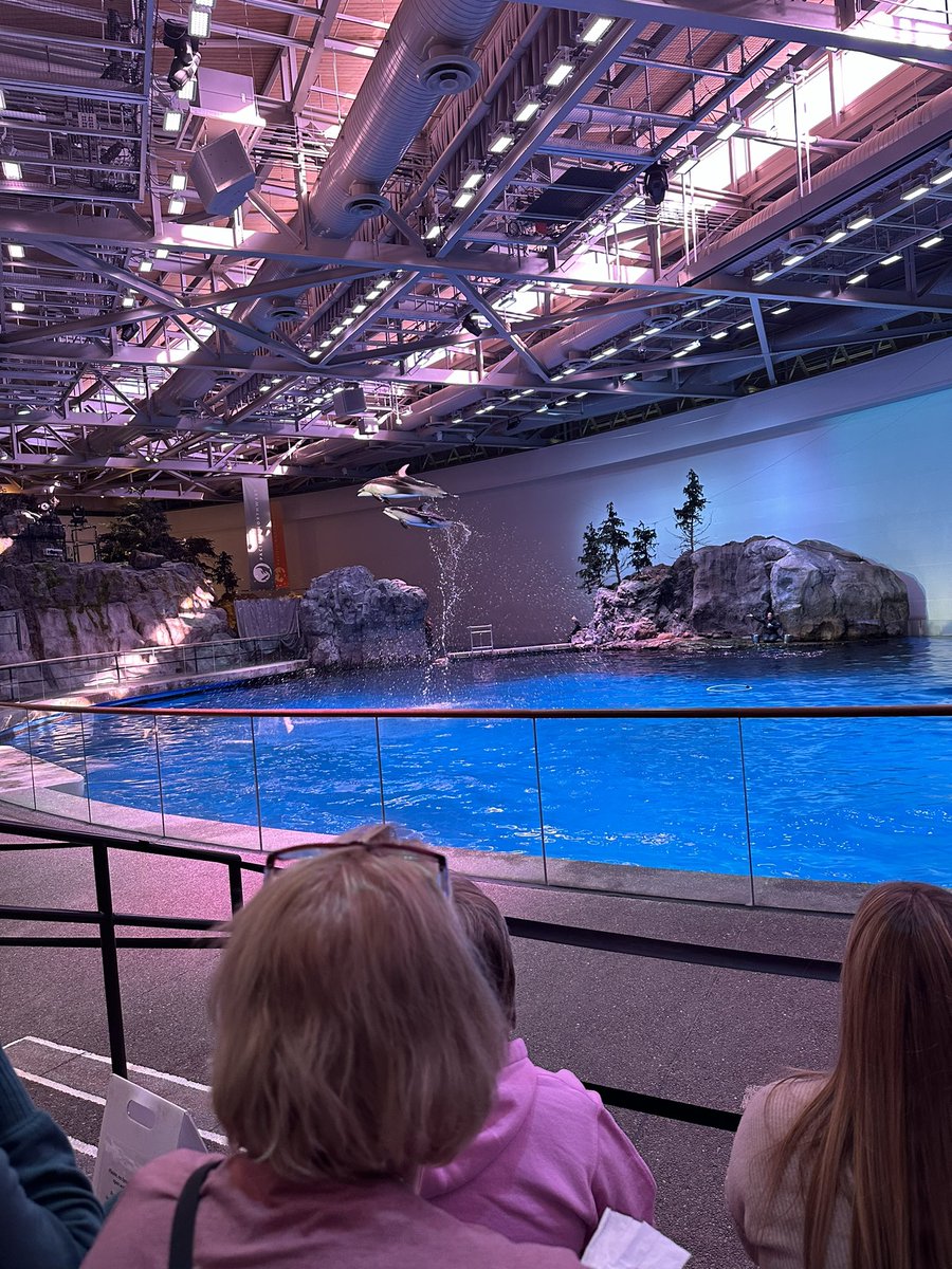 Sarah Enger tweet media