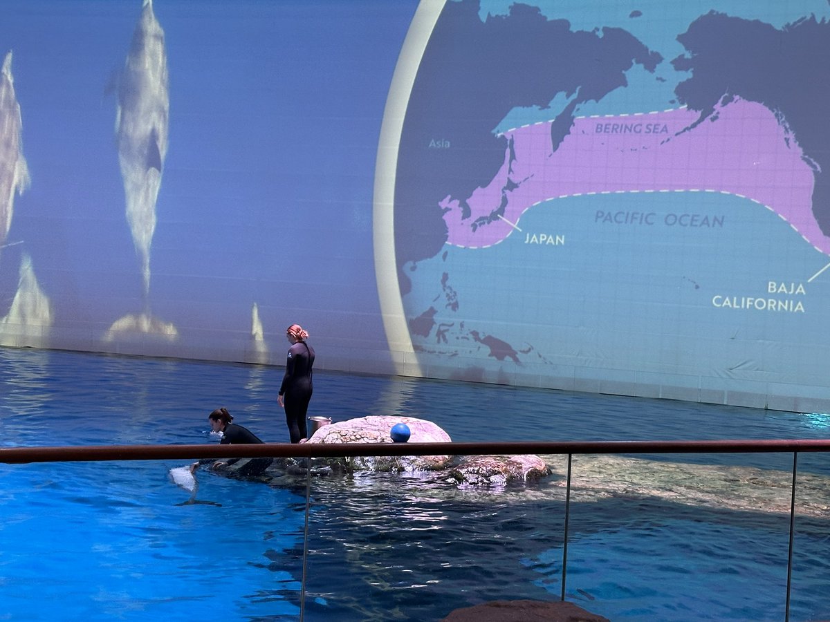 Sarah Enger tweet media