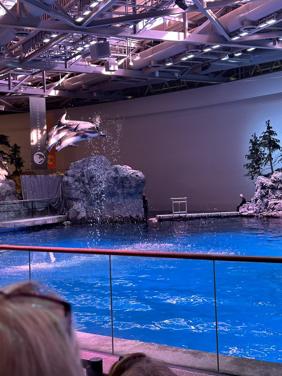 Sarah Enger tweet media