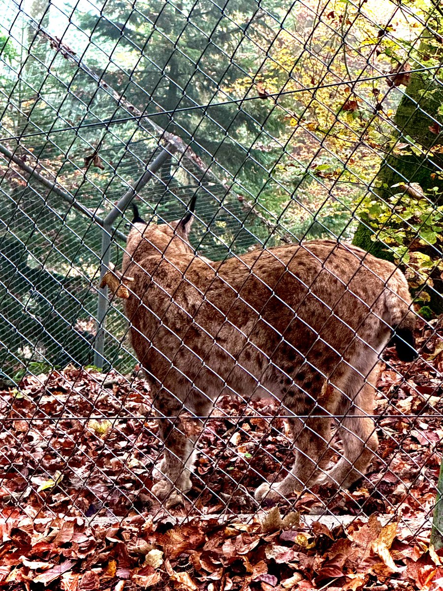 JDoubleT tweet media