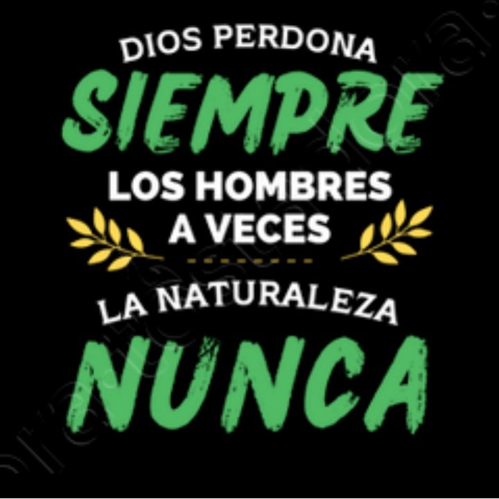 alicia_guarani's tweet photo. @ImpactoEterno https://t.co/ZeZDjeOKTp