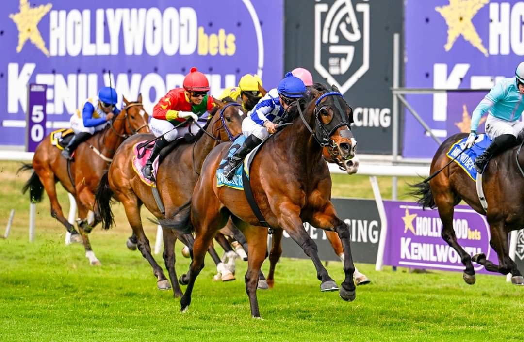 DANCE VARIETY wins the Southeaster Sprint ( Listed ) 
Born and Raised @ Winterbach Stud. Great performance! Looks to go on from here. We'll done to the connections. 
Trainer : Adam Marcus 
Jockey : C Orffer 
Breeder and Owner : Mr Jerrier.