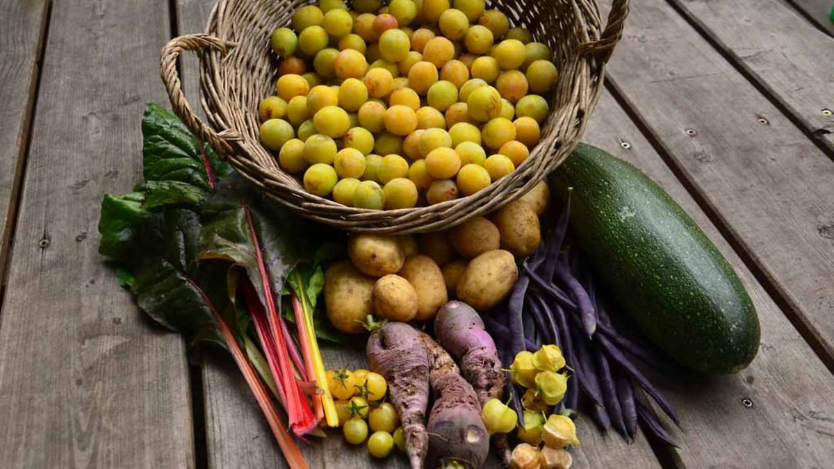 Urban Gardening in Hamburg: Grüne Oasen zum Selbstpflanzen. Hier werden drei Projekte vorgestellt, FuhlsGarden, Gartendeck auf St. Pauli und KEBAPgarten. hamburg.de/freizeit/aktiv…