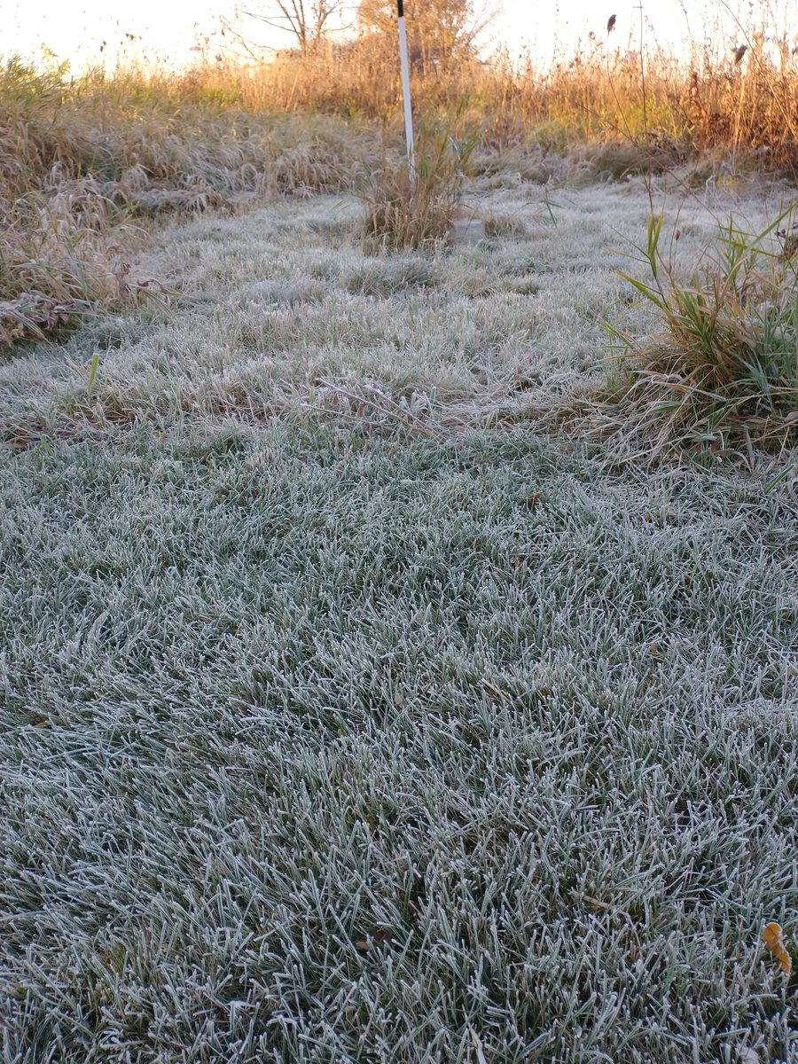 leemarkcom's tweet photo. Happy frosty Saturday morning, Madison!
Photo taken at 8:13 a.m. on 11/2/2024 at Dane County Regional Airport
#wiwx #swiwx @NWSMilwaukee #MadisonWI #FallWeather #Frost #WeatherPics https://t.co/a8W1EPpbaT