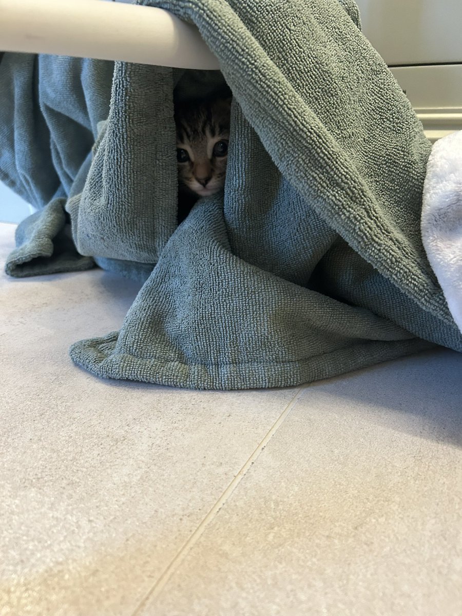 Cuteness overload! Had to be done 😍