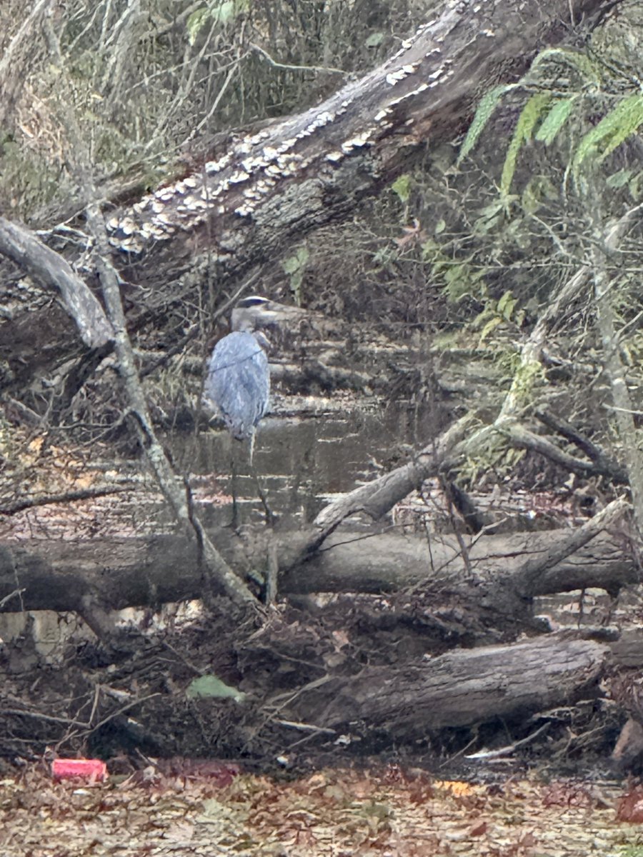 GM world.

don’t forget to stop, breathe and look.

even on the side of the road, you may find something special.