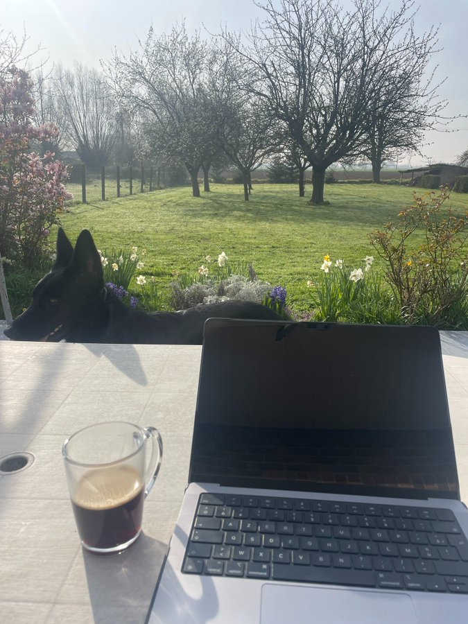 Charles Baras - Copy chief tweet media