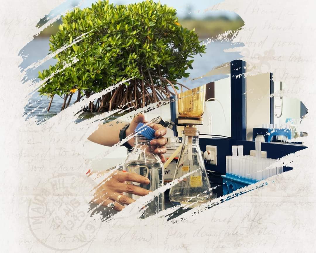 Anand02908794's tweet photo. Master water quality analysis &amp; sediment characterization! ICAR-CMFRI's short-term course (Nov 25-29) #WaterQuality #SedimentAnalysis #ICARCMFRI

Interested candidates can register online at the Google form https://t.co/XTbdZZ3WUa on or before November 10. https://t.co/OXgzTBTAS2