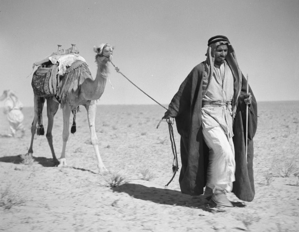 Qhta10ni's tweet photo. عدو نفسه يحسب إنه عدوّي
مسكين و المسكين ما نلحقه لوم

ما طـالني ولا تطاول سموّي
يطيح دوني عشر مرات و يقـوم https://t.co/IxhrYC0hdx