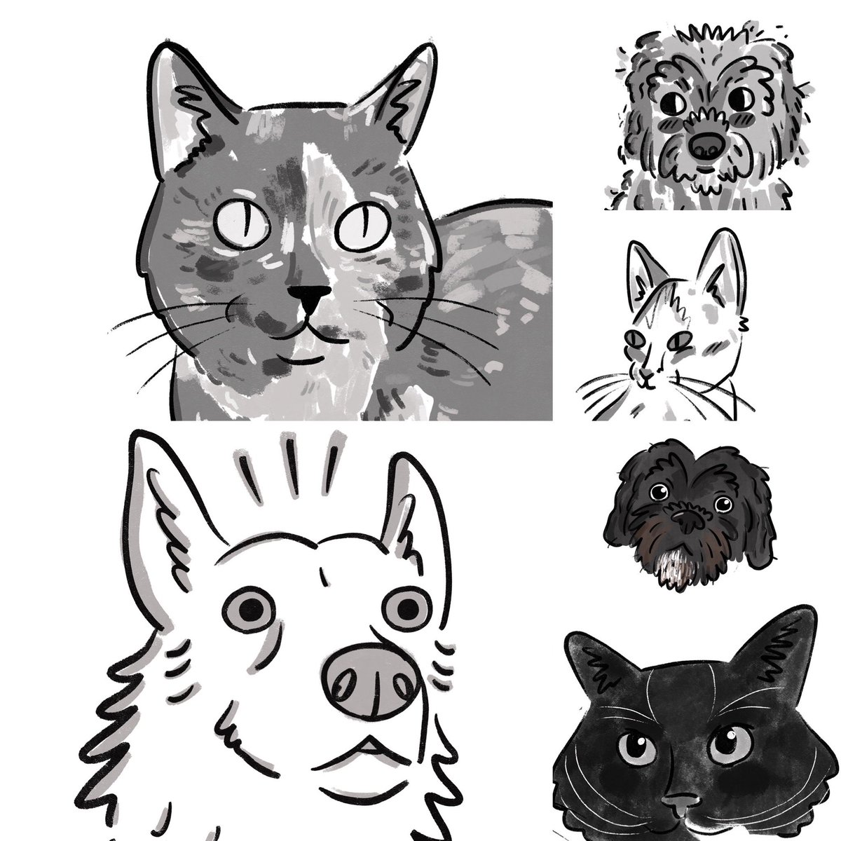 After a 4+ year hiatus I’m now doing pet portraits again! 
I’m offering digital files with the option to upgrade to a print.
Click the link for more info and feel free to DM with any questions :-)

higglebees.com/pet-portraits